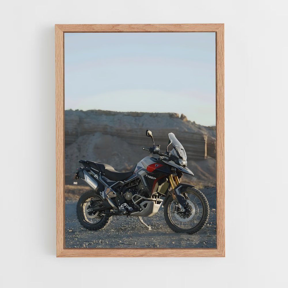 Poster Tigre Majestueux 900 – affiche Triumph (vue 4)